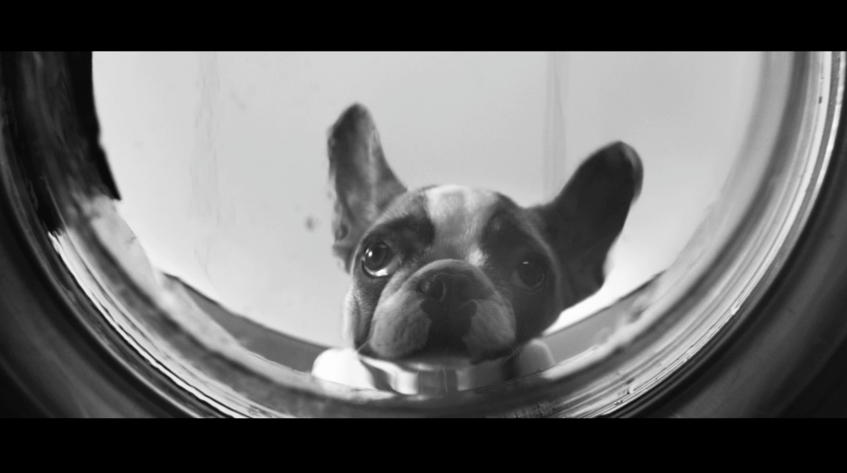 Fisher and Paykel Patience 45 TVC